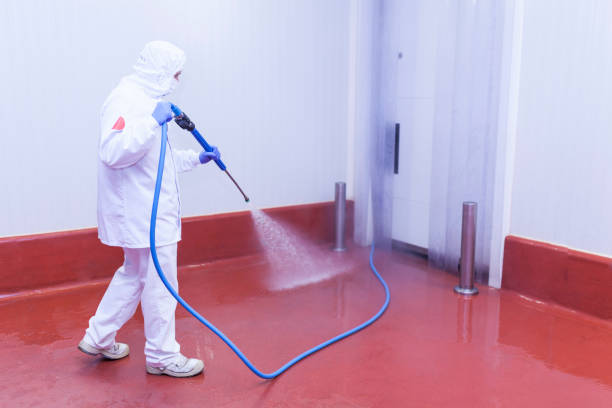Best Patio and Deck Pressure Washing  in Labasas, CA